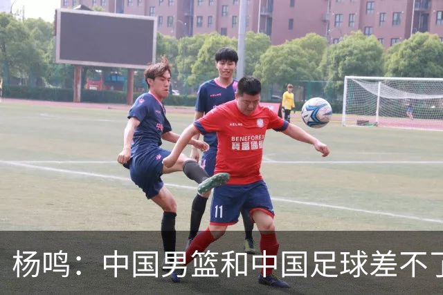 杨鸣：中国男篮和中国足球差不了太多，没有气场，失去了绝对优势