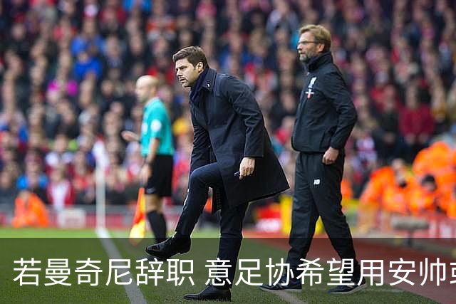 若曼奇尼辞职 意足协希望用安帅或卡纳瓦罗替代