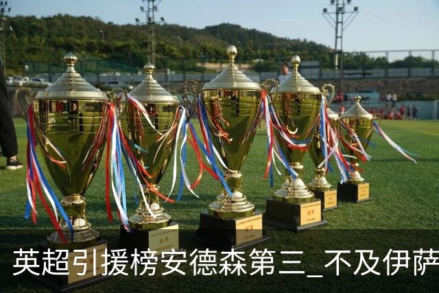 英超引援榜安德森第三 不及伊萨克维尔茨超凯塞多恩佐